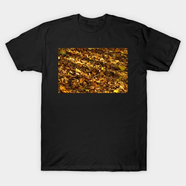leafs carpet of gold T-Shirt by Simon-dell